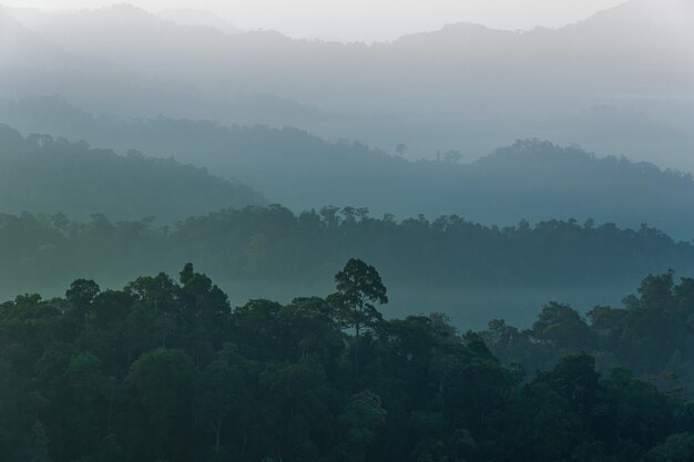 Beautiful sunrise at misty morning mountains