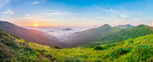 Beautiful sunrise in mountains with white fog below panorama