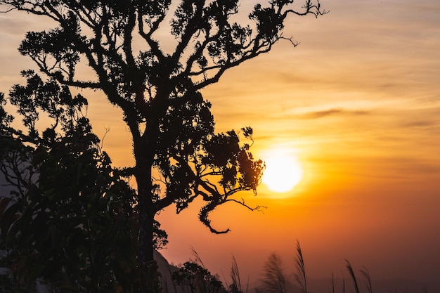 写真 カオ・カオ・チャング・フエック山 (khao chang phuket mountain) はトン・ファ・フーム国立公園の最高峰であるカオ・チャン・フエーク (khao zhang phuket) と呼ばれている