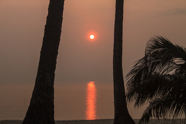 beautiful sunrise on tropical sea