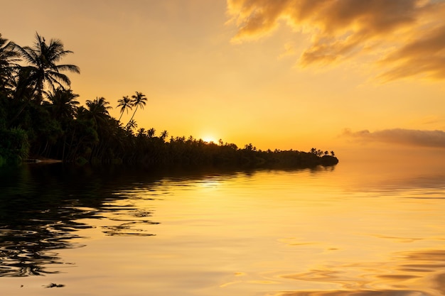 カリブ海のトロピカルリゾートのビーチの美しい夕日水中のヤシの木の反射