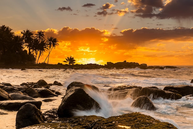 Beautiful sunset on the beach in a tropical resort in the Caribbean