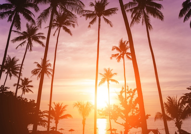 熱帯のビーチで美しい夕日。空と海