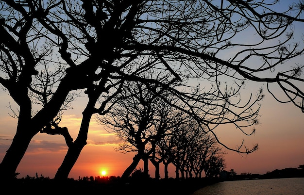 写真 エビの池の美しい夕日