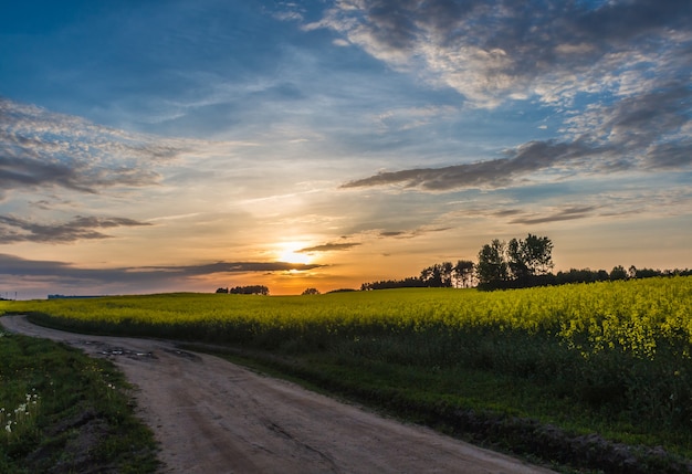 青い空と雲と田舎道の美しい夕日
