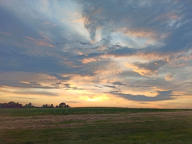 草をった畑の上の美しい夕暮れ 晴れた夕暮れの夕暮れ