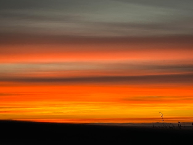 beautiful sunset  over the field