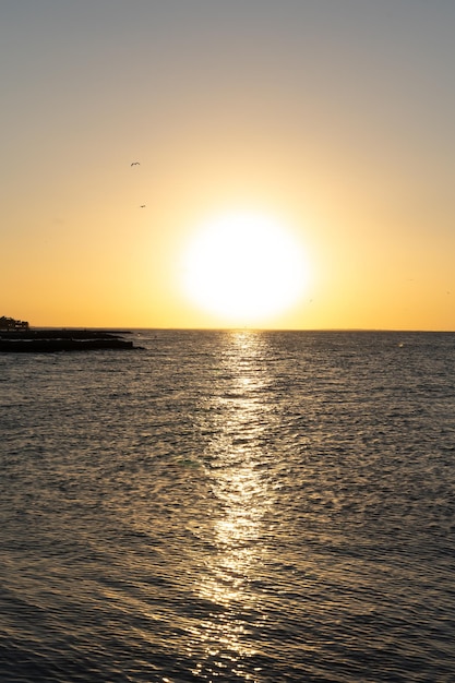 Beautiful sunset from Holbox in Mexico with the shadows of birds flying