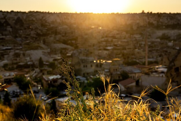 Beautiful sunset in Goreme with closeup of plants Turkey