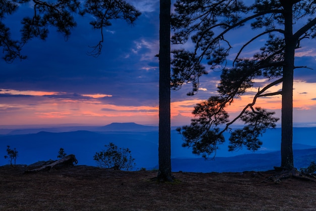 Phu-kra-dueng国立公園Loei県、タイの高山に美しい夕日。