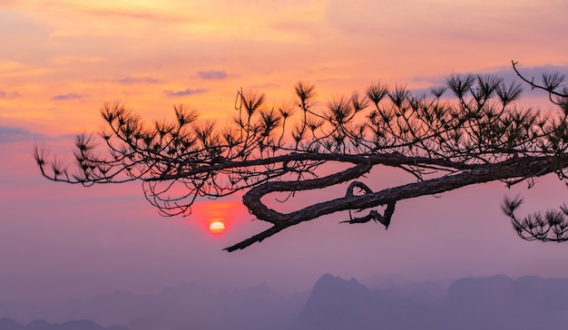 高山に沈む夕日