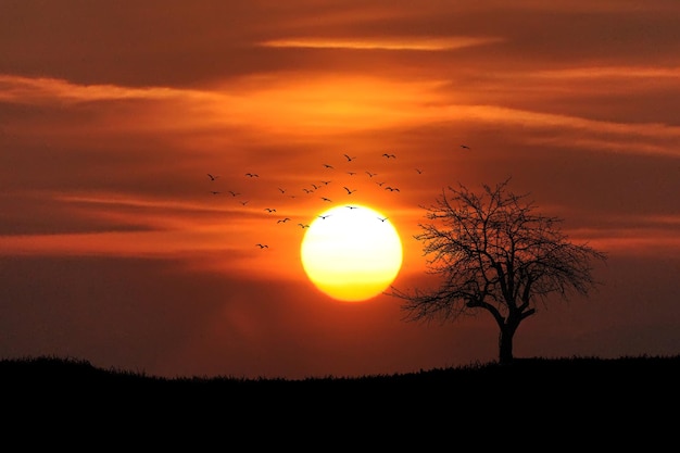 Foto bella immagine del tramonto