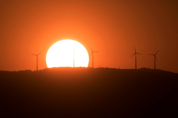 韓国の美しい夕日