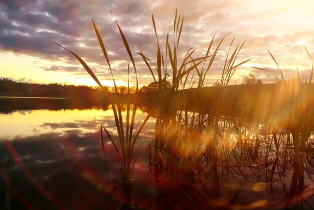 Beautiful sunset on the lake shore