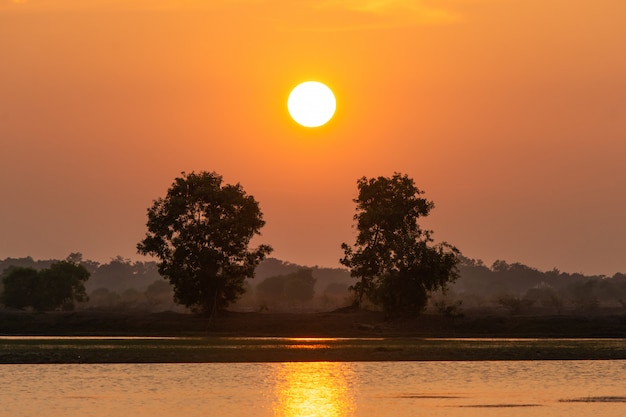 Beautiful sunset over lake and two tree silhouette background