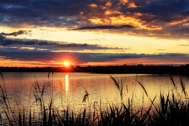 植生のシルエットと湖の美しい夕日