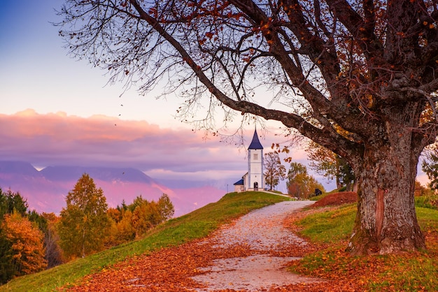 Foto bellissimo paesaggio al tramonto della chiesa jamnik in slovenia su una collina verde con alberi e cielo rosa