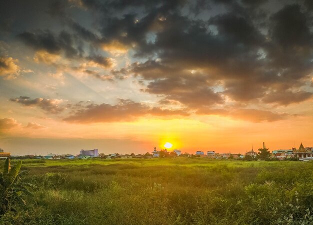 美しい夕日と日没時のモスクグリーンメドウモスクの背景