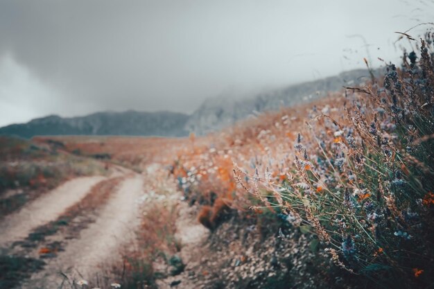 산에서 아름 다운 석양입니다.