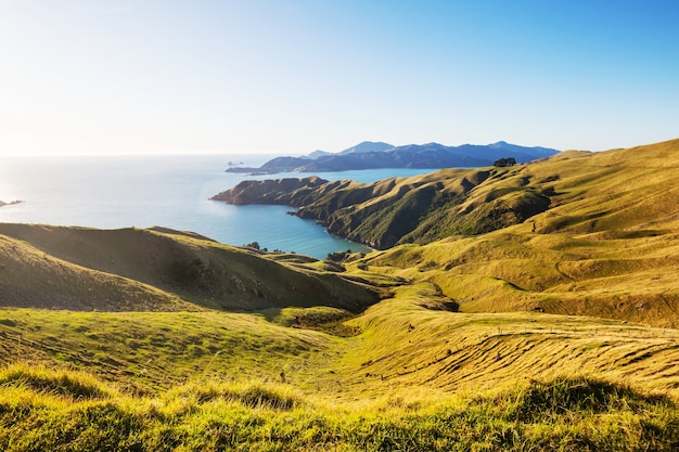 Photo beautiful sunset at the ocean beach, new zealand.