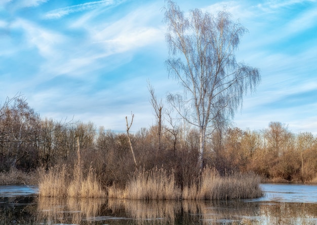 Bellissime foto al tramonto su un lago in baviera nella città di ingolstadt