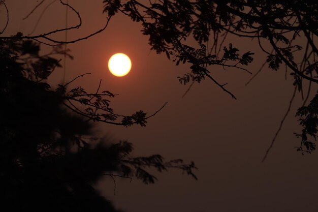 Beautiful sunset and red sky