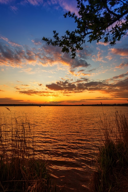 Beautiful sunset on the river with tree branches in the foreground