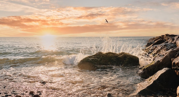 写真 美しい夕日の海のクラッシュ ウェーブ ロック