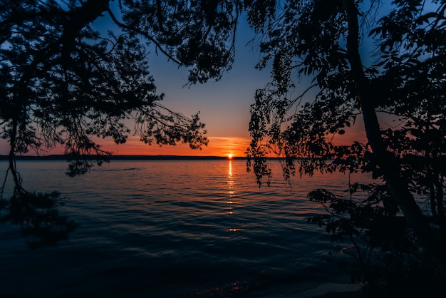 Bello tramonto sul mare con il sole e il cielo blu attraverso i rami degli alberi sulla spiaggia