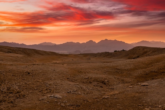 Beautiful sunset in the Sinai desert Egypt