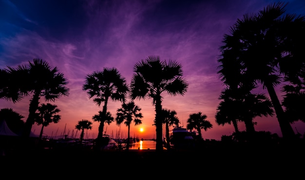 Beautiful sunset sky in the marina bay. View of harbor with yachts