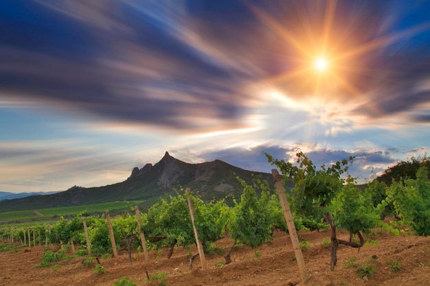 Beautiful sunset sky over a vineyard in the mountains