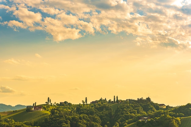 A Beautiful Sunset over a Styrian Vineyard in Austria