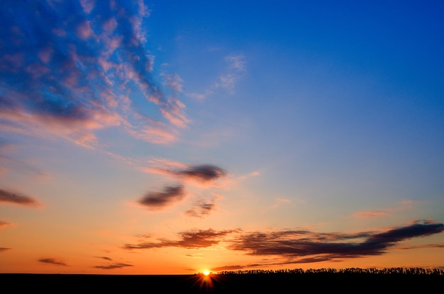 Beautiful sunset on a summer day in the field