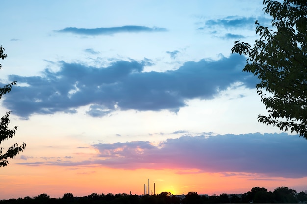 The beautiful sunset over the trees and sky gold sunset 