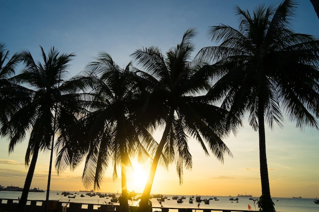 Photo beautiful sunset tropical beach with coconut palm trees farm in front beach vung tau city