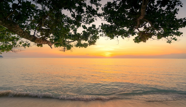 Beautiful sunset at tropical paradise beach. View from under the tree at seaside in the evening at sandy beach. Summer vibes.