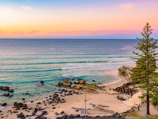 A beautiful sunset view on the beach with a pine tree, Coolangatta, Queensland, Australia