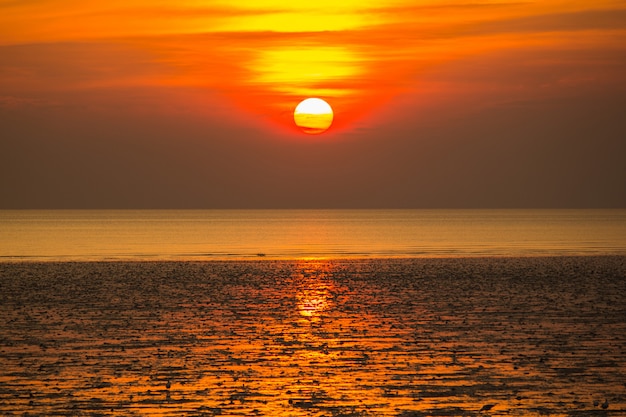 美しい夕日