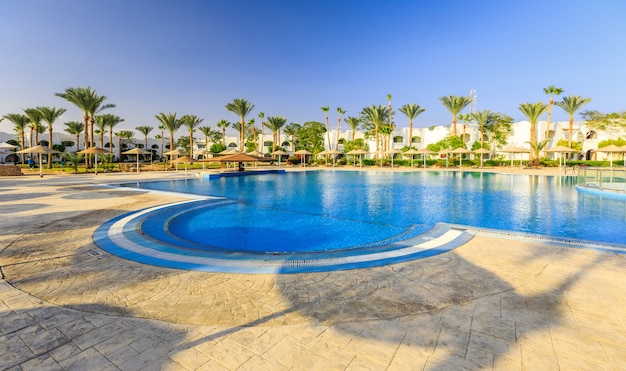 Beautiful swimming pool and palm trees in egypt