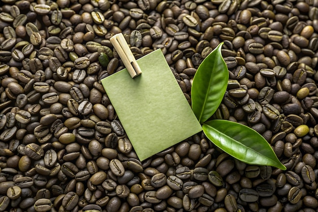 beautiful tea leaf and clip note on coffee bean background