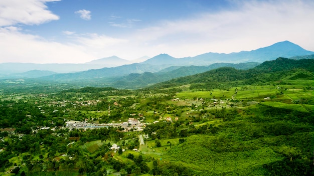 Beautiful tea plantation and village in morning misty