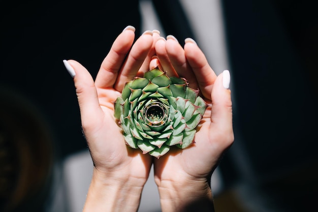 Beautiful tender hands of the bride hold a green flower in the middle of which two gold wedding rings for the ceremony