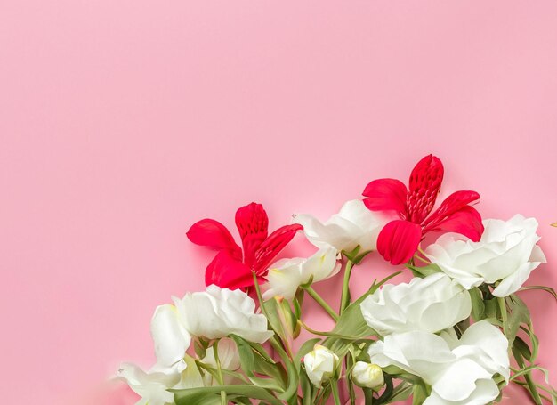 Photo beautiful tender pink white and red flower on pastel background