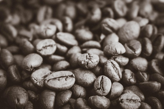 Foto bella consistenza di deliziosi chicchi di caffè profumati naturali marroni selezionati appena tostati