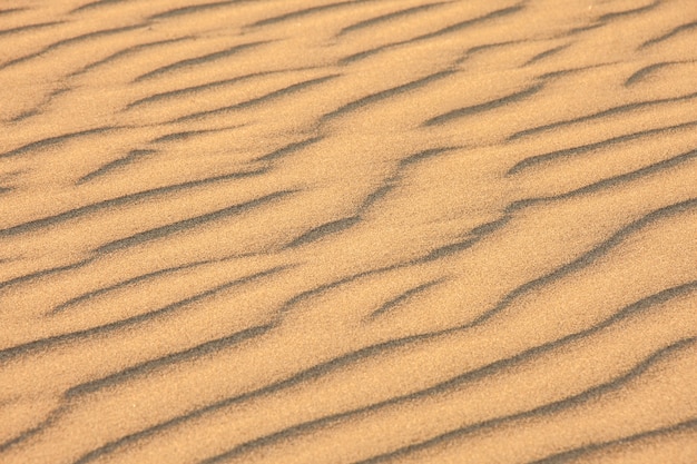 Красивая текстура золотистого мелкого солнечного песка