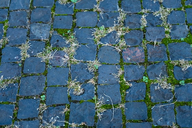 草が茂った敷石の美しい質感。石の道の背景