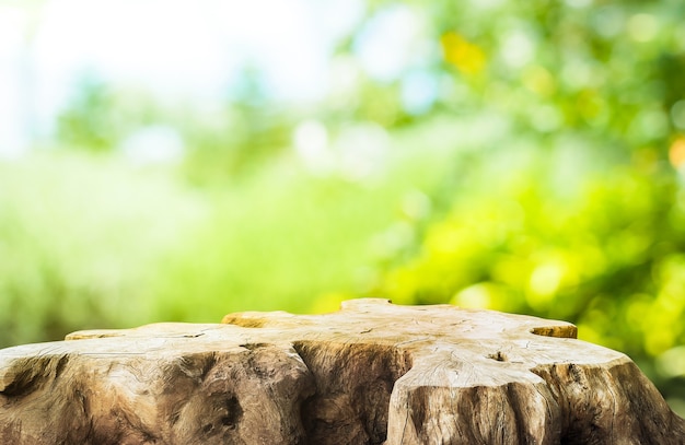 Bella struttura del vecchio piano d'appoggio del ceppo di albero sulla sfocatura del fondo verde dell'azienda agricola del giardino. per creare l'esposizione del prodotto o progettare il layout visivo chiave.