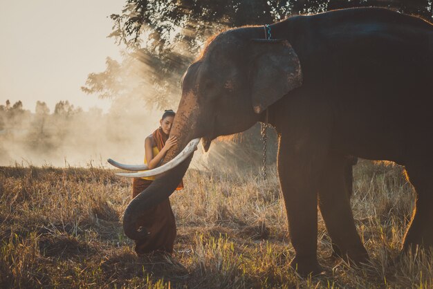 Bella donna tailandese che passa tempo con l'elefante nella giungla