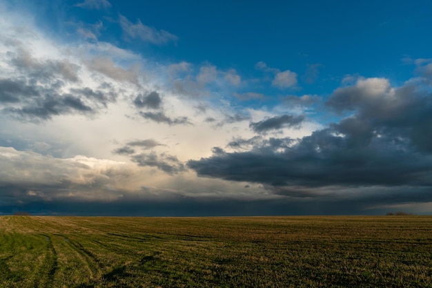 A beautiful thundercloud with rain hovered over a field of wheat A terrible black cloud on the eve of a tornado and a natural disaster A hurricane in the countryside